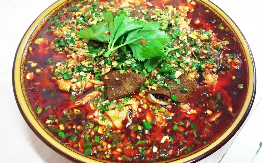 20240121111326.jpg 20240121111326.jpg