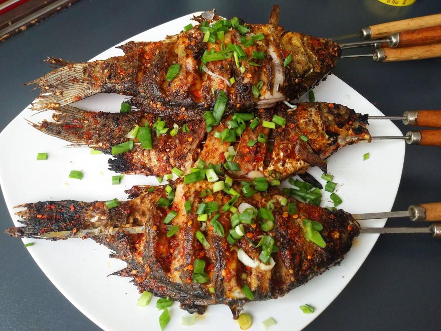 20240405115118.jpg 20240405115118.jpg